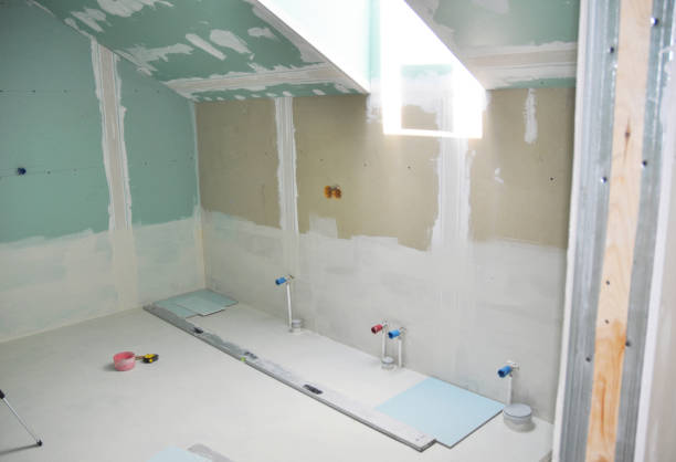 Best Mold Documentation for Insurance Claims  in New Lenox, IL