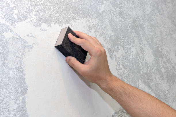 Best HVAC Mold Inspection and Cleaning  in New Lenox, IL
