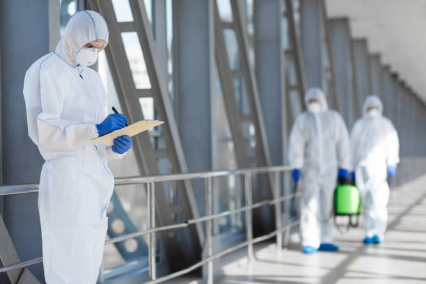 Best Biohazard Mold Removal  in New Lenox, IL