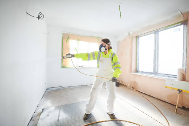 Best Commercial Mold Inspection  in New Lenox, IL