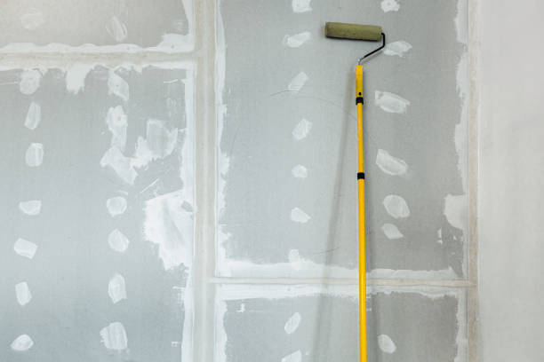 Trusted New Lenox, IL Mold Removal Experts