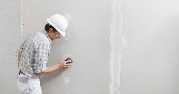 Best Residential Mold Inspection & Testing  in New Lenox, IL