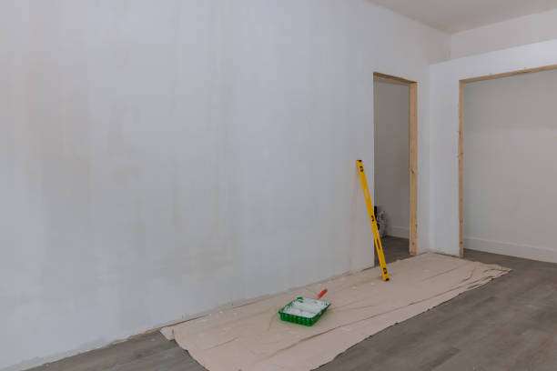 Best Mold Damage Restoration  in New Lenox, IL