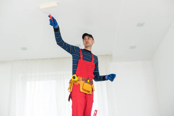 Biohazard Mold Removal in New Lenox, IL