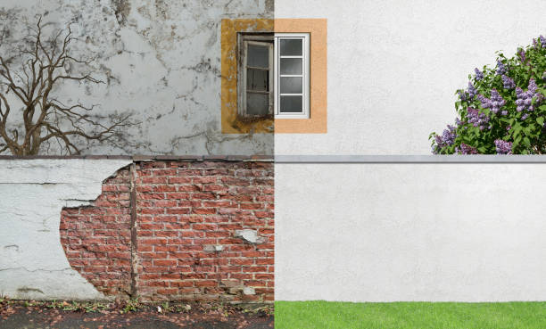 Best Real Estate Mold Inspection  in New Lenox, IL